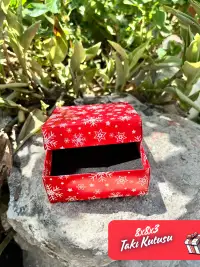 8x8x3 Kırmızı Kartanesi Süngerli Takı Kutusu [Demonte] - Görsel 4